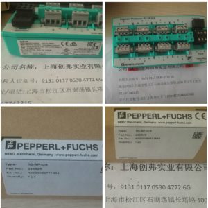 R2-SP-IC8倍加福保護(hù)器R2-SP-IC *?
